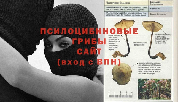 герыч Алексеевка
